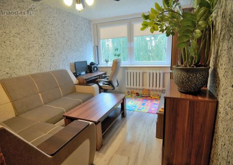 דירת 2 חדרים בקרבת הנהר – קאונס