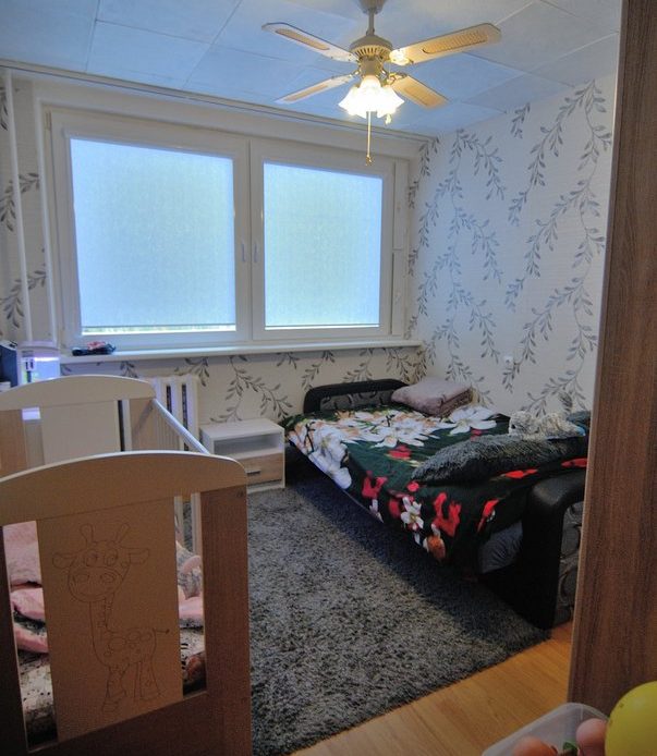 גלריית תמונות