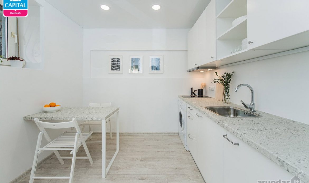 גלריית תמונות