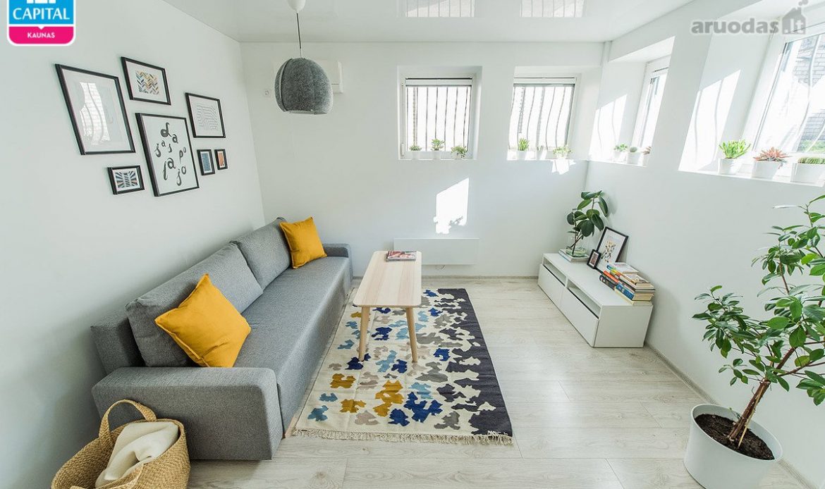 גלריית תמונות