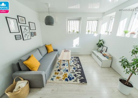 דירת סטודנט במרכז קאונס