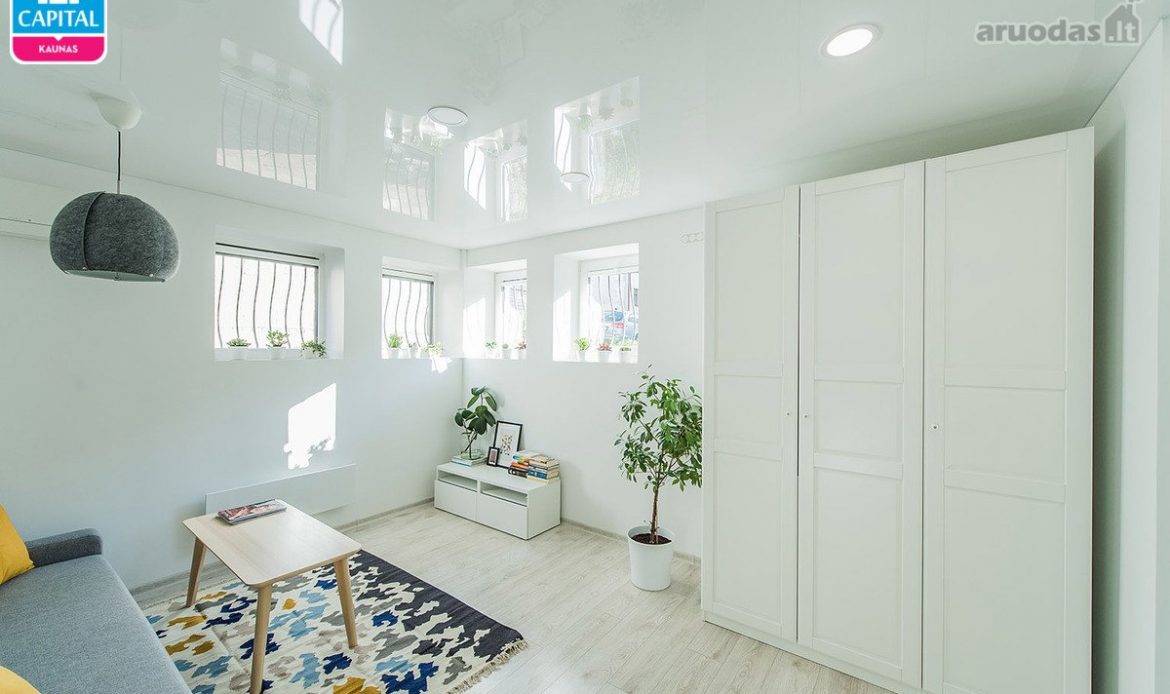 גלריית תמונות