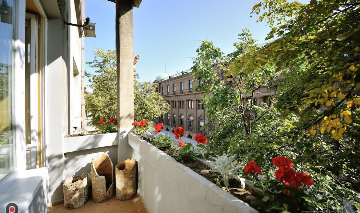 גלריית תמונות