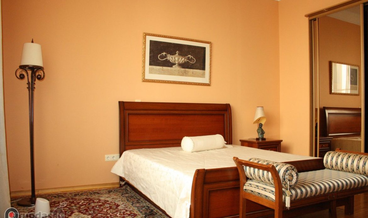 גלריית תמונות