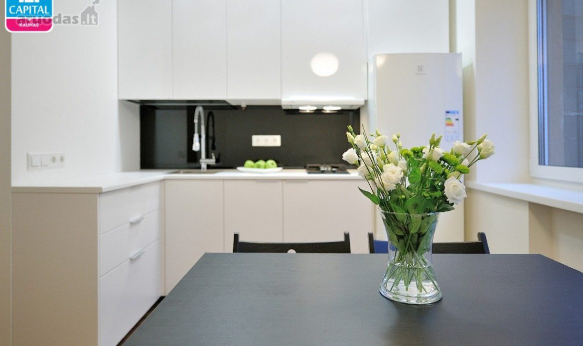 גלריית תמונות