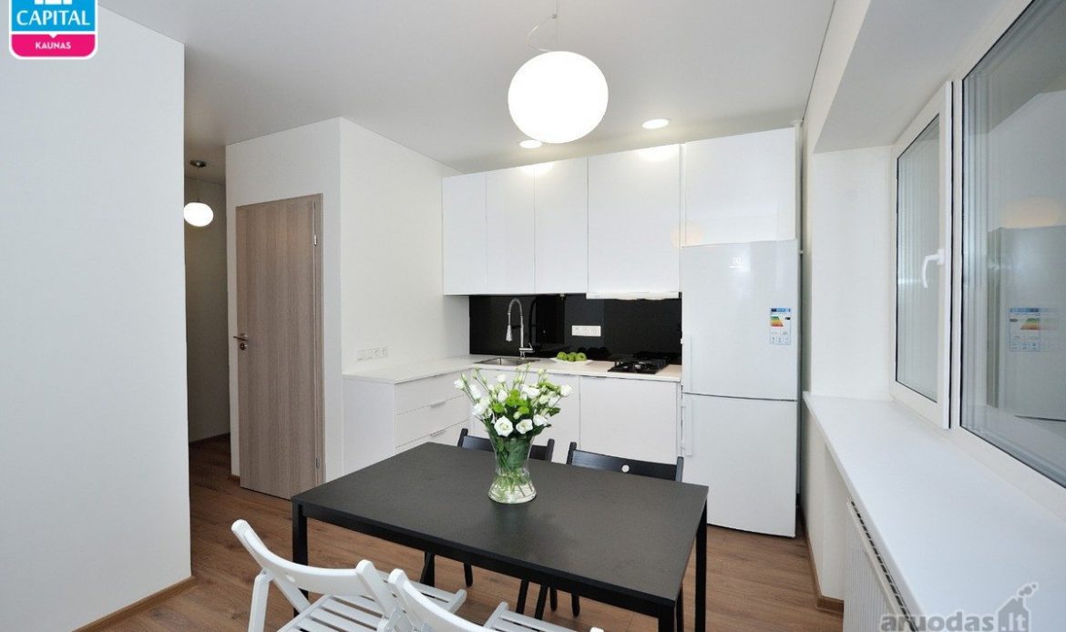 גלריית תמונות