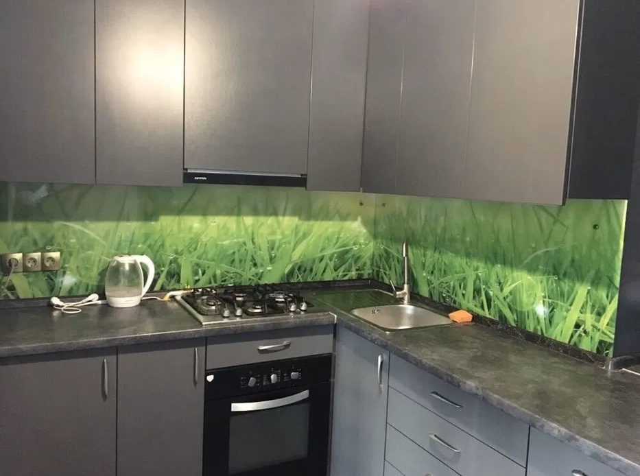 גלריית תמונות